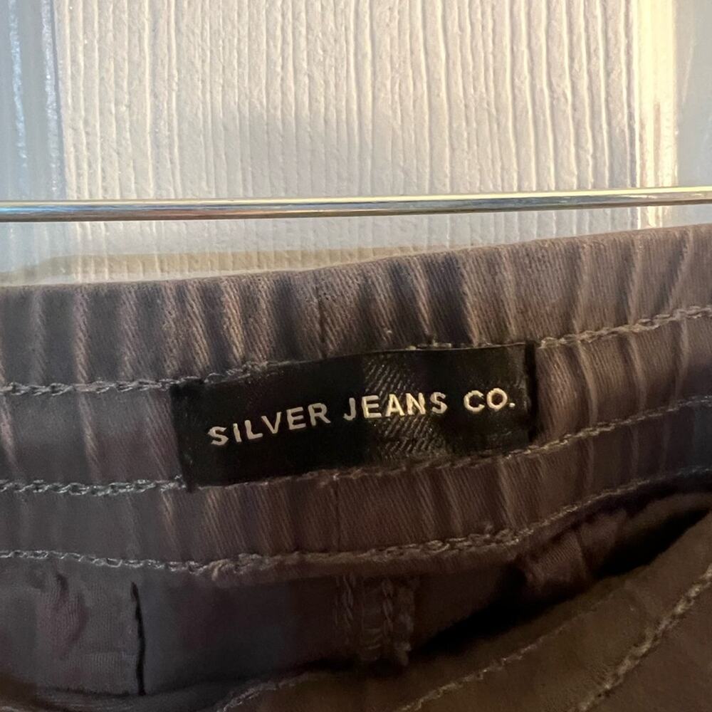Silver Jeans Gray Cargo Pants with Modern Tapered Design Size 10 - Picture 5 of 9